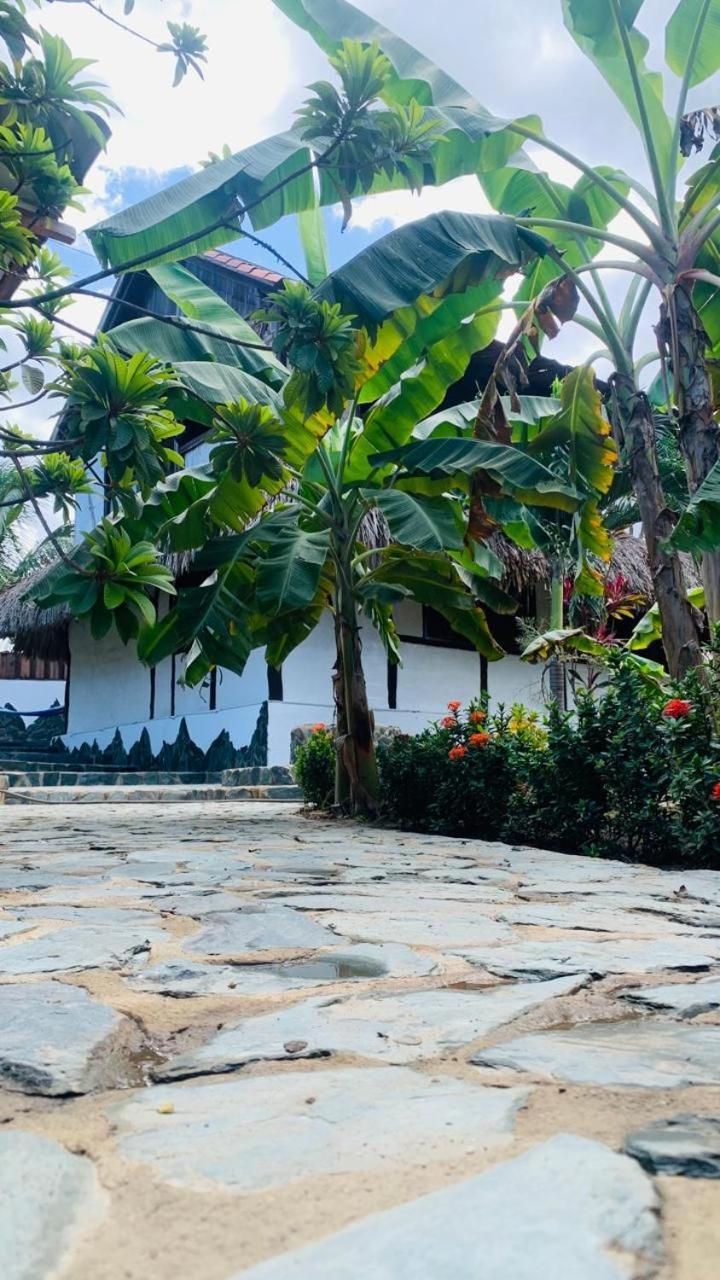 El Paraiso De Carmen Palomino Dış mekan fotoğraf